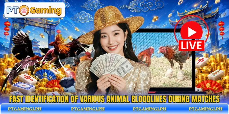Fast identification of various animal bloodlines during matches