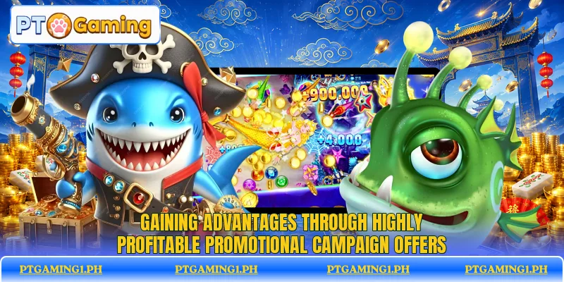 Gaining advantages through highly profitable promotional campaign offers