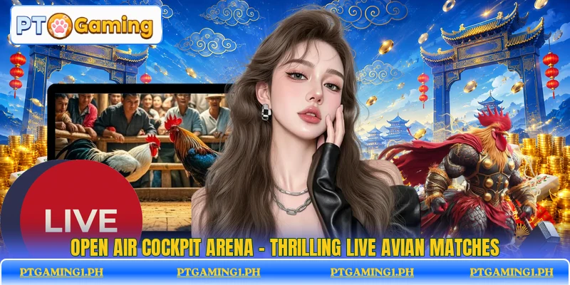Open Air Cockpit Arena - Thrilling Live Avian Matches