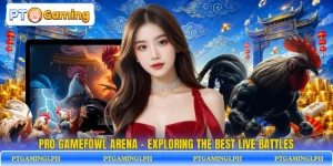 Pro Gamefowl Arena - Exploring The Best Live Battles